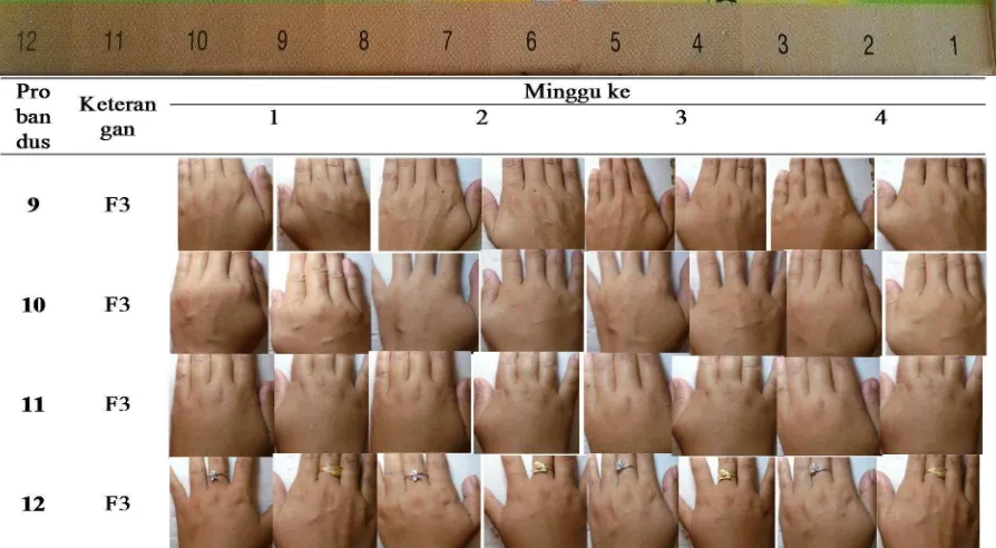 Gambar 11. Hasil uji efek pada kulit sediaan krim ekstrak kedelai formula 3 