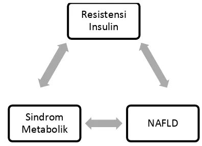 Gambar 1. Hubungan antara resistensi insulin, sindrom metabolik dan NAFLD (Bonora & Targher, 2012) 