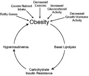 Gambar 2. “Lingkaran setan” sebab akibat resistensi insulin, hiperinsulinemia dan kenaikan berat badan (Girod dan Brotman, 2003)  