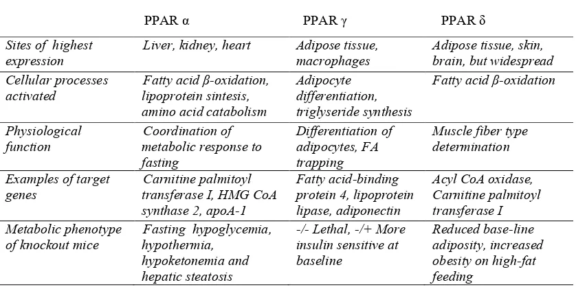 Tabel 2. Perbandingan aktifitas PPAR terhadap metabolik 