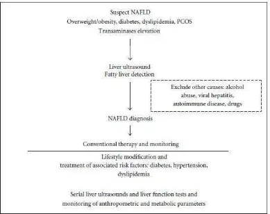 Gambar 5. Alur Diagnosis Non-alcoholic fatty liver diseases (NAFLD) (Mazza et  al.,2011) 