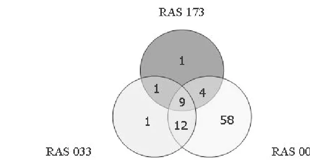 Gambar 9 Sebaran genotipe tahan blas daun pada ras 173, 033 dan 001. 