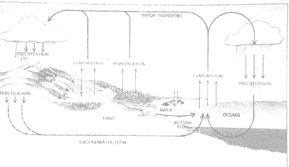 Gambar 2 Siklus hidrologi (Christensen 1991) 