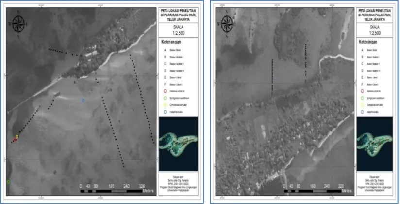 Gambar 1. Peta lokasi penelitian pada komunitas lamun di Perairan Pulau Pari Stasiun Barat dan Selatan (kiri) dan Stasiun Utara (kanan)