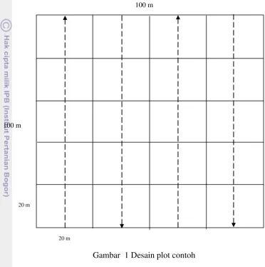 Gambar  1 Desain plot contoh 
