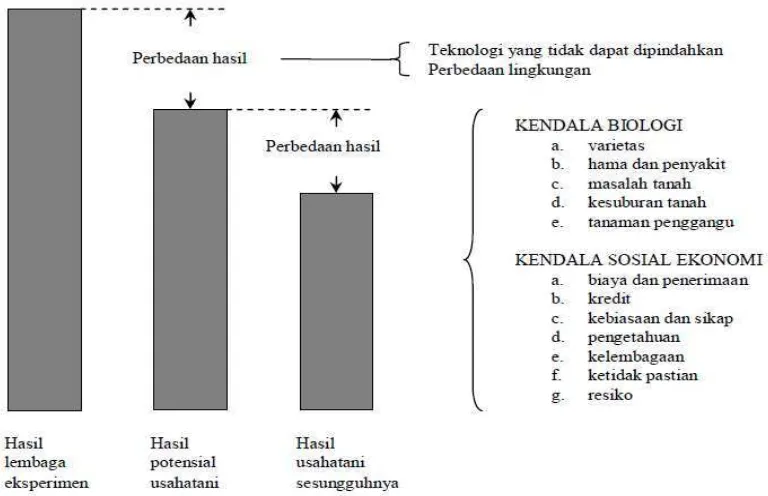 Gambar 4. Perbedaan hasil antara hasil lembaga penelitian dan hasil yang dicapai usahatani Sumber    : Soekartawi, 2002 