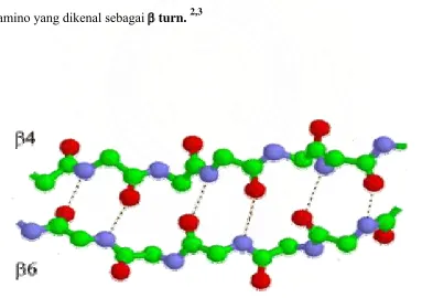 Gambar 5. The � sheet structure found in RNase A.  This figure shows only the backbone 