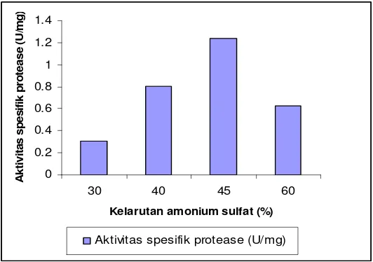 Gambar l . Pengendapan protease Lactobacillus acidophilus dengan                    amonium sulfat