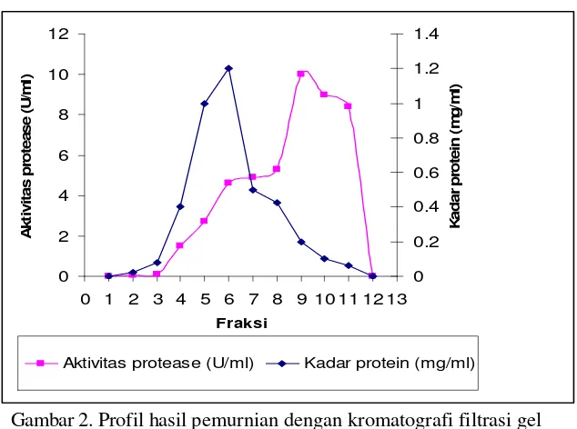 Tabel 2. Pemurnian protease Lactobacillus acidophilus 