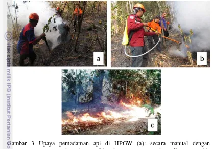 Gambar 3 Upaya pemadaman api di HPGW (a): secara manual dengan  
