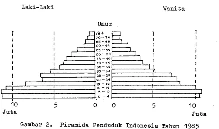 Gambar 2. Piramida Penduduk Indonesia Tahun 1985 