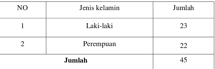 Tabel 3.1. Jumlah Populasi Anak Asuh Panti Asuhan Harapan     Bangsa  Berdasarkan Jenis Kelamin Di Kecamatan Kalianda Lampung Selatan Tahun 2014 