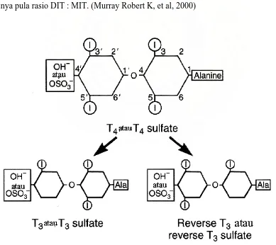 Gambar 3 . Struktur T4, T3 dan reverse T3  