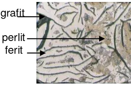 Gambar 30. Struktur mikro Roda Gigi cacing silindris merk CCM carburizing 3 jam 