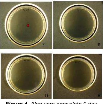 Figure 4. Aloe vera agar plate 0 day 