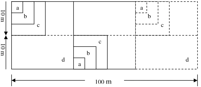Gambar 4. Bentuk unit contoh metode garis berpetak dalam inventarisasi vegetasi 