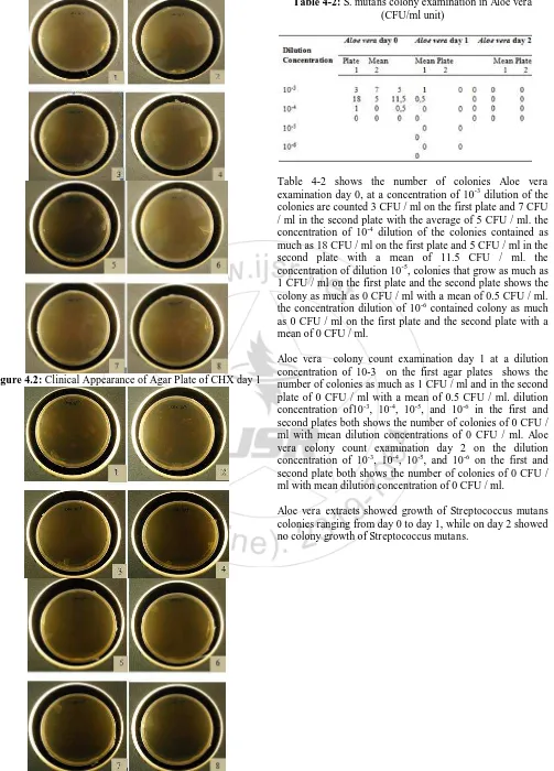 Table 4-2: S. mutans colony examination in Aloe vera (CFU/ml unit) 