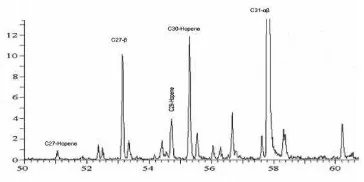 Figure 5. TIC chromatogram aromatic fraction of Pamaluan coal sample  