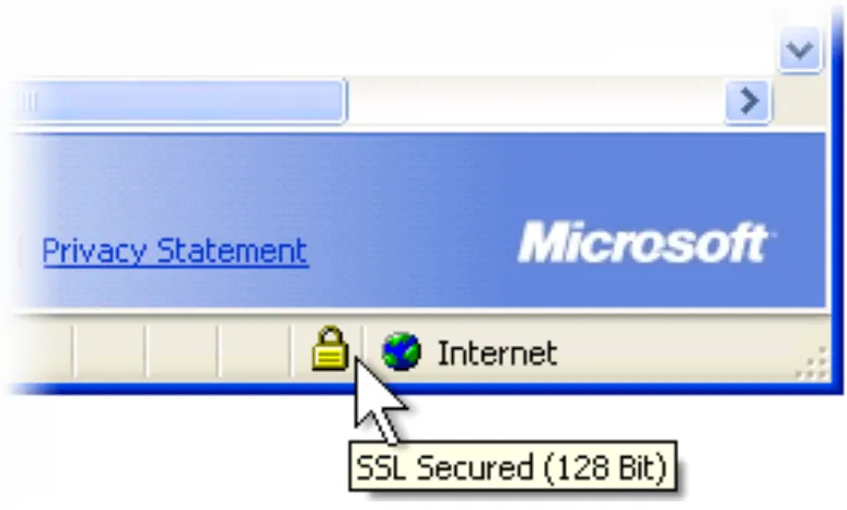 Figure 1: SSL Lock on Internet Explorer 
