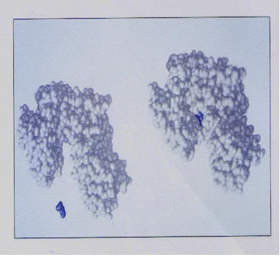 Gambar 3 : Hexokinase Binding Glucose