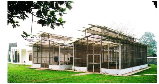 Gambar 1  Modified Standard Peak Greenhouse   