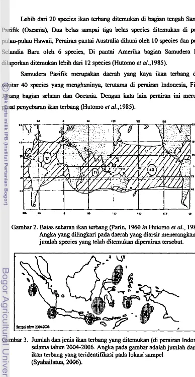 Gambar 2. Batas sebaran ikan terbang (Patin, 1960 in Hutomo el 01., 1985) 