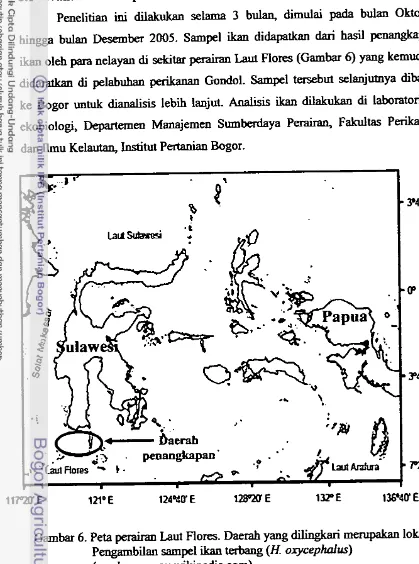 Gambar 6. Peta perairan Laut Flores. Daerah yang dilingkari merupakan lokasi 