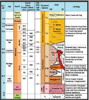 Gambar 4. (a) well-seismic tie sumur X0001, (b) well-seismic tie sumur Y0001 (PT. Chevron Pacific 