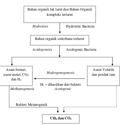 Gambar 3.  Tahapan proses fermentasi pembentukan metana. Sumber :  Hasanudin dkk. (2012) dalam Indraningtyas (2013) 