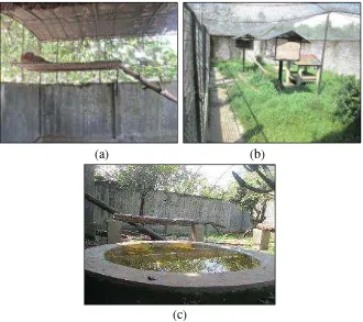 Gambar 4  Pengayaan habitat dalam kandang macan tutul jawa di Taman Satwa   Cikembulan: (a,b) shelter;  dan (c) kolam serta dahan-dahan pohon 