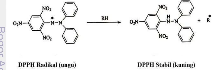 Gambar 1 Perubahan struktur 1,1-diphenil-2-pycrylhidrazil menjadi 