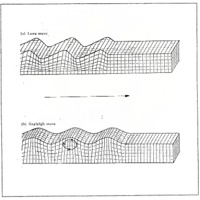 Gambar 2.9  Dua tipe gelombang permukaan, (a) gelombang love, (b) gelombang      Rayleigh 