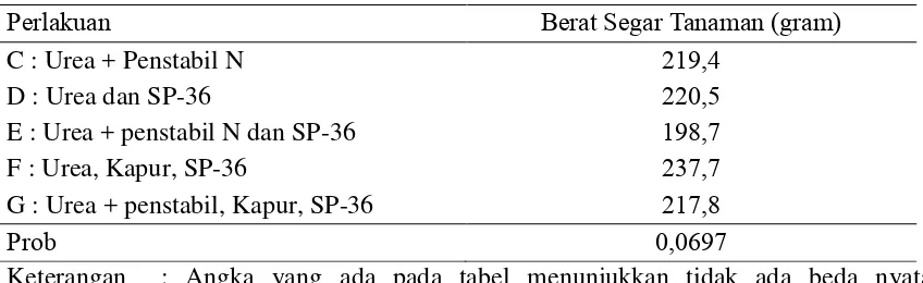 Tabel 1. Rerata berat kering tanaman 