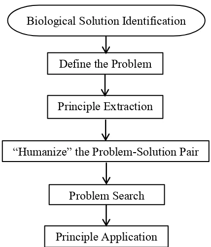 Figure 1.7: The process flow diagram of the solution-driven BID processes 
