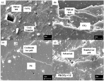 Figure 3: SEM secondary electron micrograph on the fractured surfaces at 