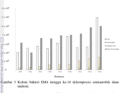 Gambar 3 Koloni bakteri EM4 minggu ke-10 dekomposisi semiaerobik daun 