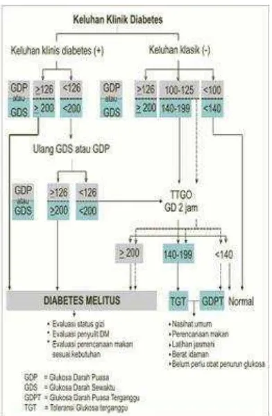 Gambar 4. Langkah-langkah diagnosis DM (Gustaviani, 2006) 
