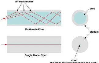 Figure 2.2.1: Single mode and multi-mode cross sectional view. 