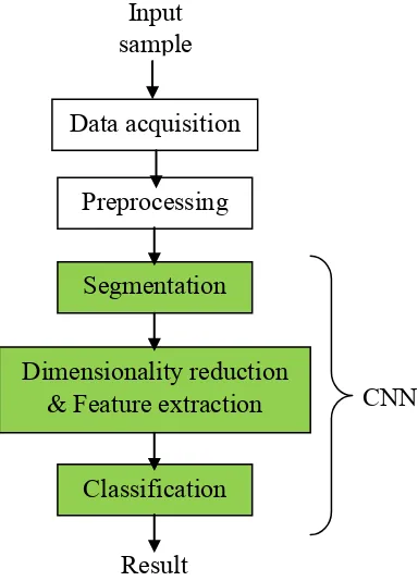 Figure 2.3.1: CNN process 