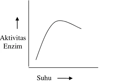 Gambar 2. Hubungan kecepatan reaksi dengan pH (Page, 1997). 