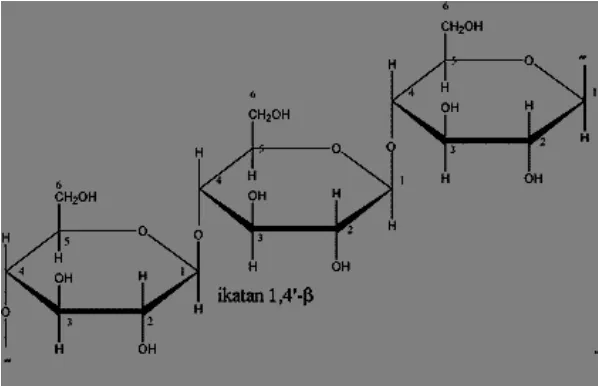 Gambar 6. Struktur selulosa (Fessenden, 1992). 