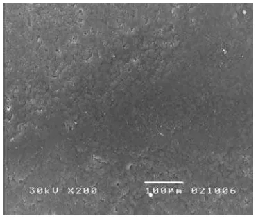 Gambar 11  Morfologi permukaan pada SEM terhadap poliblend PGA:PCL/ 20:80 dengan perbesaran 200 kali