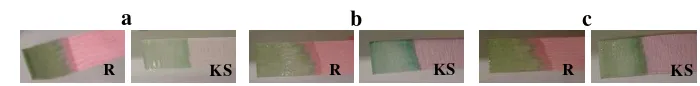 Gambar 2. Hasil Pengujian perubahan warna kertas indikator asam basa dari 