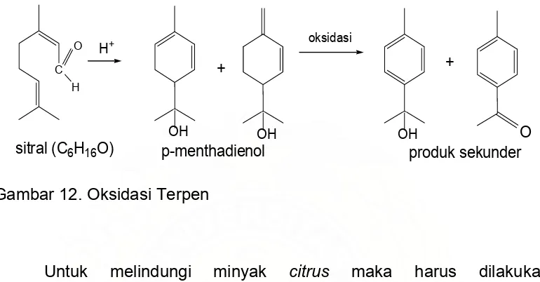 Gambar 12. Oksidasi Terpen 
