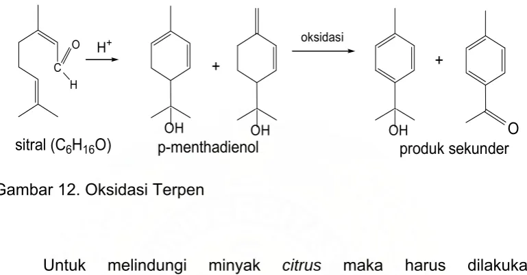 Gambar 12. Oksidasi Terpen 