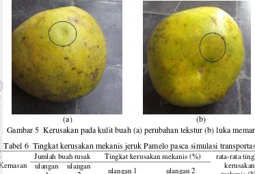 Gambar 5  Kerusakan pada kulit buah (a) perubahan tekstur (b) luka memar 