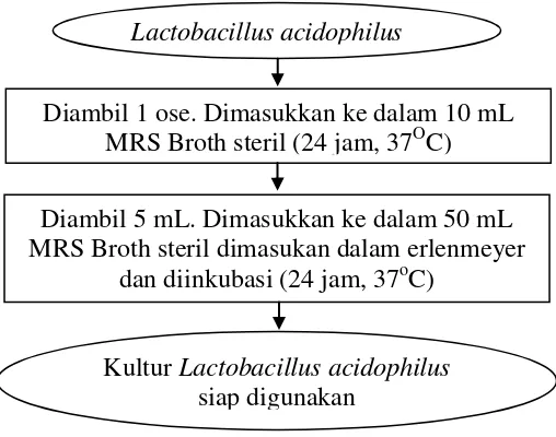 Gambar 2. Diagram alir persiapan starter Metode yang digunakan oleh Aptesia (2013).  