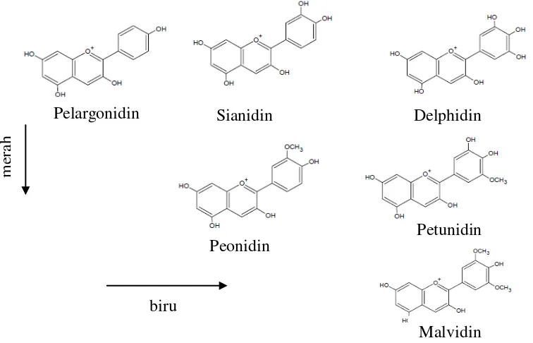 Gambar 2.  Sruktur dasar antosianin (Brouillard et al., 1982) 