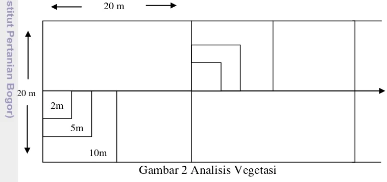 Gambar 2 Analisis Vegetasi 
