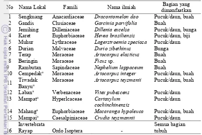 Tabel 2 Jenis pakan bekantan di Dusun Pararawen 
